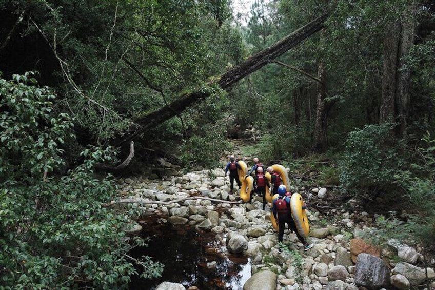 Blackwater Tubing Green Route Forest Adventure