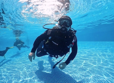 Madeira, Ponta São Lourenço: buceo para principiantes