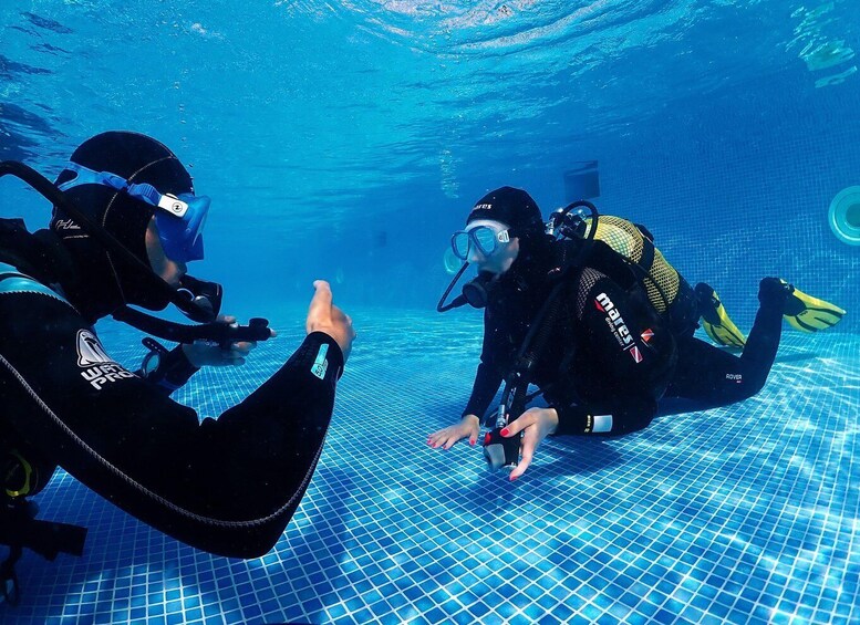 Picture 4 for Activity Madeira, Ponta São Lourenço: Scuba Diving for Beginners