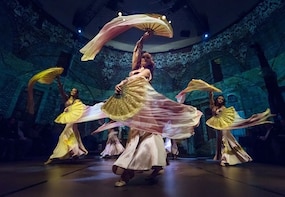 Rhythm of the Dance Show
