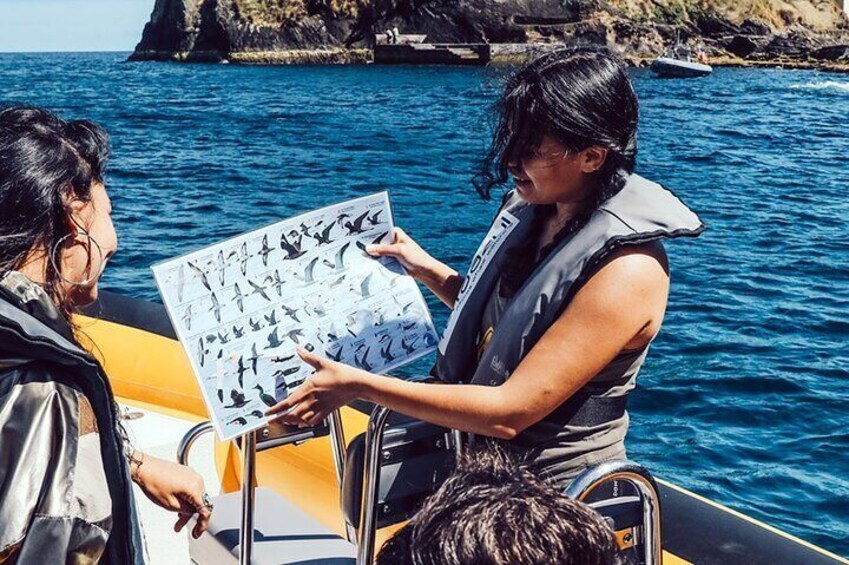 Vila Franca do Campo Around The Islet Guided Boat Tour