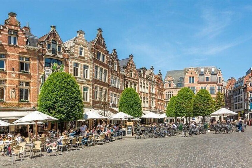 Historical Leuven: Private tour with Local Guide