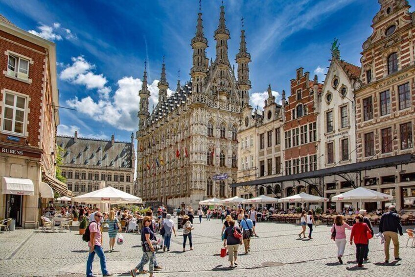 Historical Leuven: Private tour with Local Guide