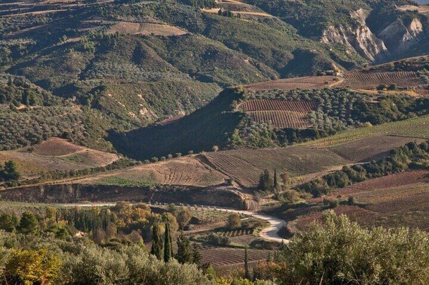 Combo: Mycenae and Wine tour from Nafplio