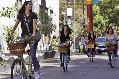 Bike adventure through the Historic Centre of Mexico City