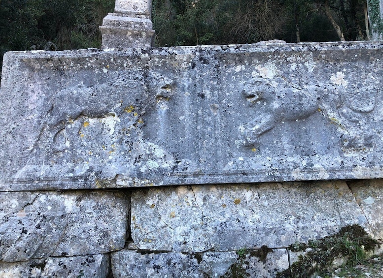 Picture 37 for Activity Hiking in Termessos Ancient City