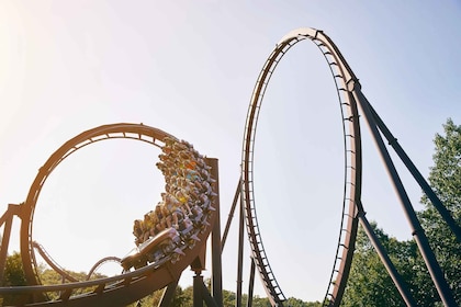 Branson: Silver Dollar City & White Water Combo Entry Ticket