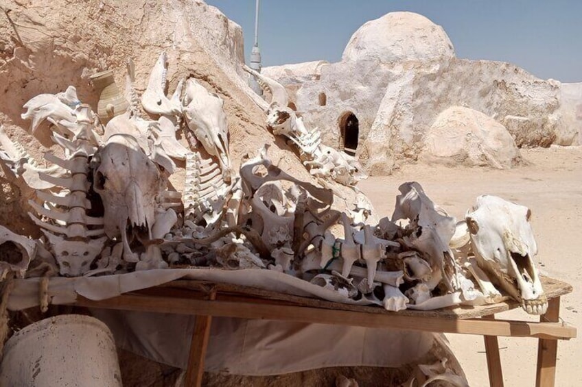 3-day excursion to the Sahara from Hammamet
