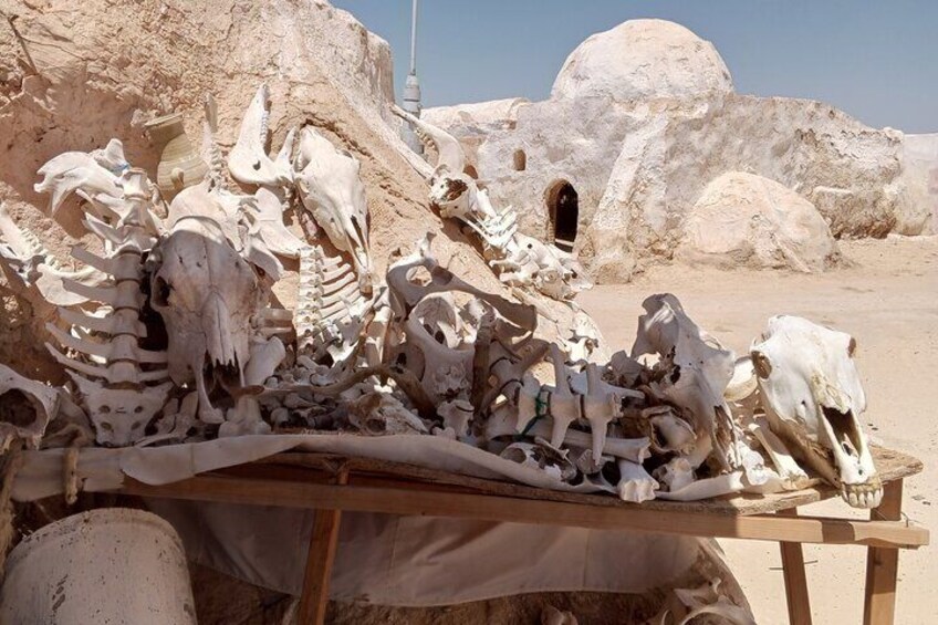 3-day excursion to the Sahara from Hammamet