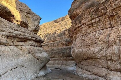 从哈马马特前往撒哈拉的 3 天私人游览