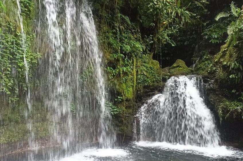 Jungle Trekking With Jatiluwih Unesco Heritage Site In Tabanan