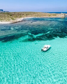 From Stintino: Half-Day Speedboat Tour to Asinara