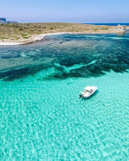 From Stintino: Half-Day Speedboat Tour to Asinara