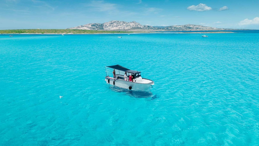 Picture 5 for Activity From Stintino: Half-Day Speedboat Tour to Asinara