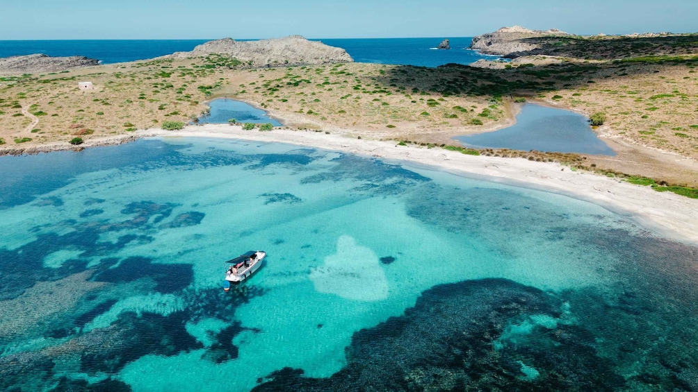 Picture 4 for Activity From Stintino: Half-Day Speedboat Tour to Asinara