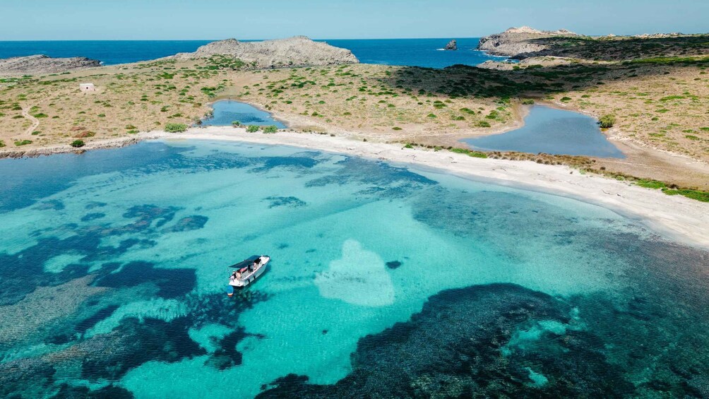 Picture 4 for Activity From Stintino: Half-Day Speedboat Tour to Asinara