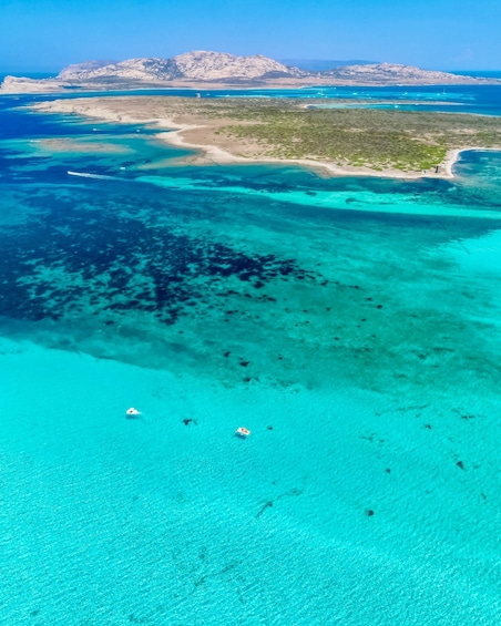 Picture 1 for Activity From Stintino: Half-Day Speedboat Tour to Asinara