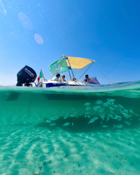 Picture 3 for Activity From Stintino: Half-Day Speedboat Tour to Asinara