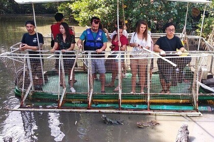 Luxury and Comfort Can Gio Mangrove Forest Tour