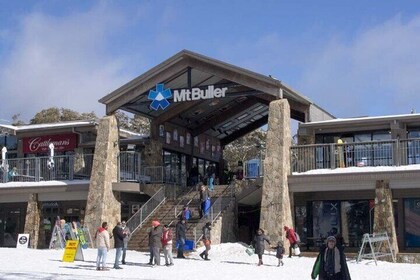 Mount Buller Full day Sightseeing tour (Melbourne Chinese Tour)