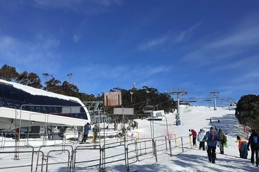 Mount Buller Melbourne Full day Sightseeing tour