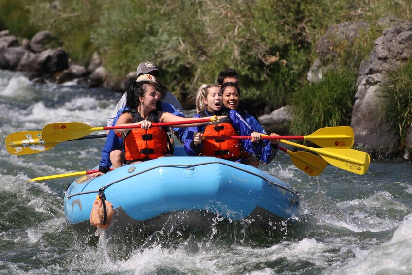 Picture 3 for Activity Deschutes River Half Day trips