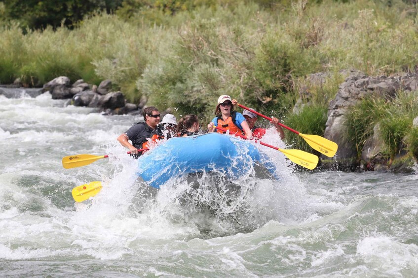 Picture 4 for Activity Deschutes River Half Day trips