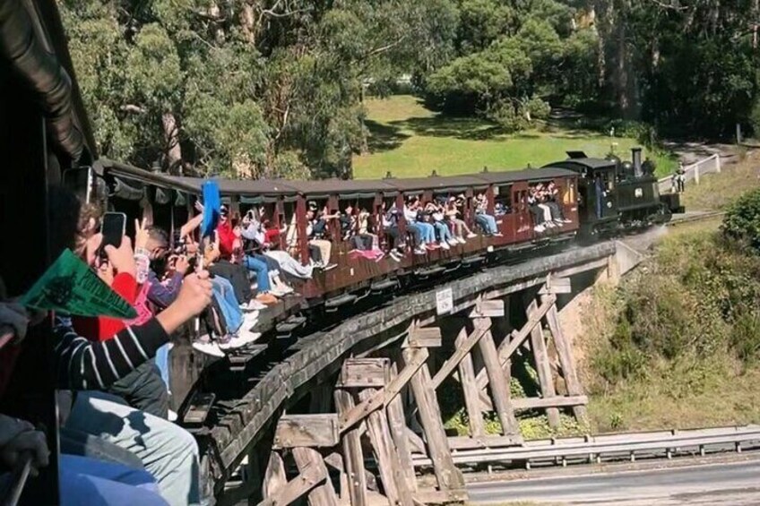 Puffing Billy and Phillip Island Day Tour(Melbourne Chinese Tour)