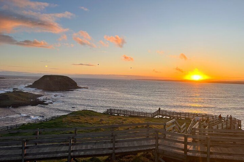 Puffing Billy and Phillip Island Day Tour(Melbourne Chinese Tour)