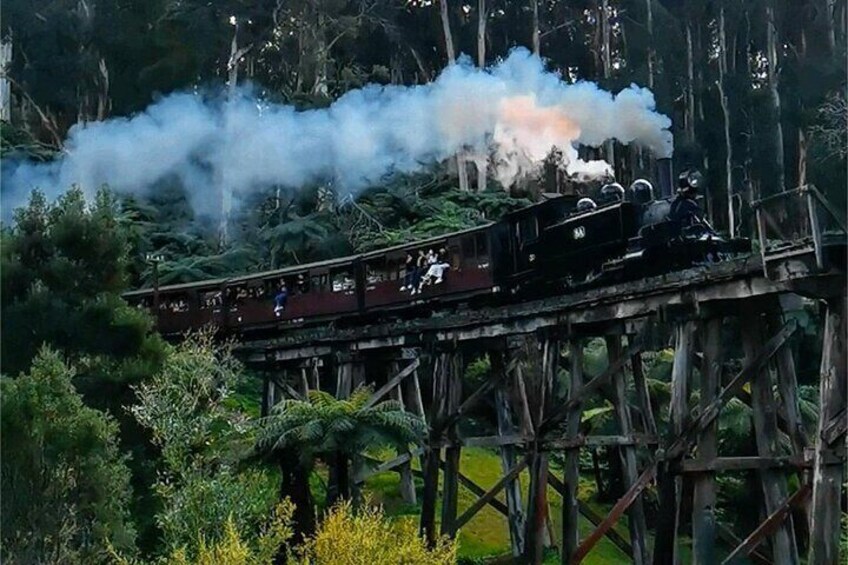 Puffing Billy and Phillip Island Day Tour(Melbourne Chinese Tour)