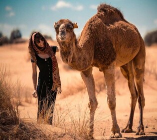 Cappadocia: Camel Safari Tour with Transfer