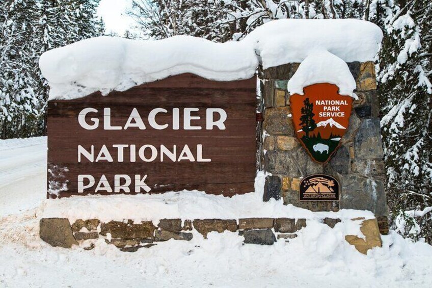 Half Day Tour in Glacier National Park