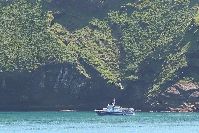 Boat Tour in Vestmannaeyjar