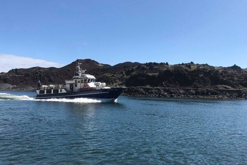 Boat Tour in Vestmannaeyjar