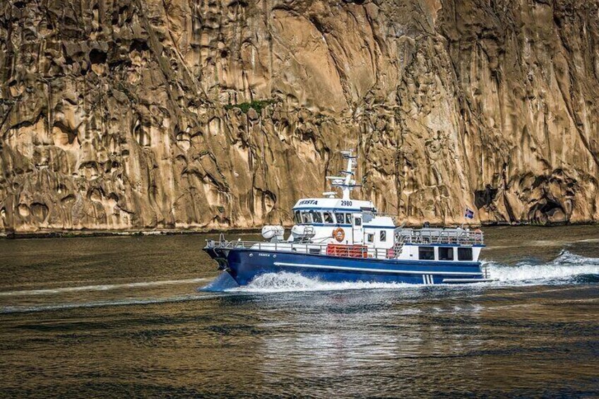 Boat Tour in Vestmannaeyjar