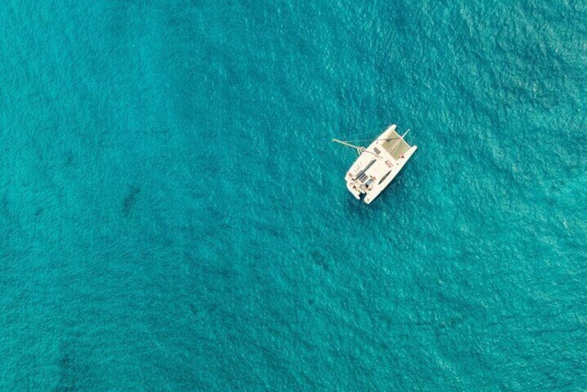 Catamaran Half Day - Beautiful day on the Atlantic Ocean