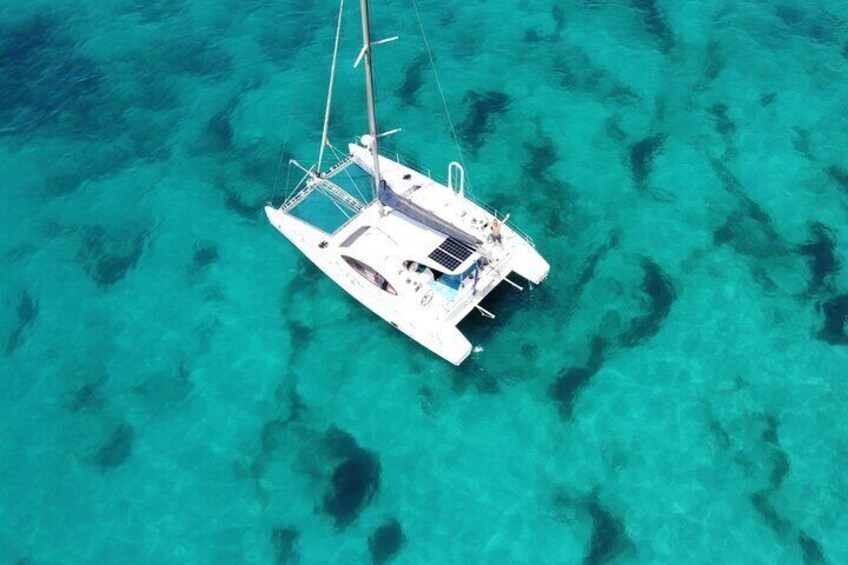 Catamaran Half Day - Beautiful day on the Atlantic Ocean