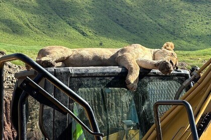 4 Days Mid Range tour to Tarangire,Serengeti & Ngorongoro Crater