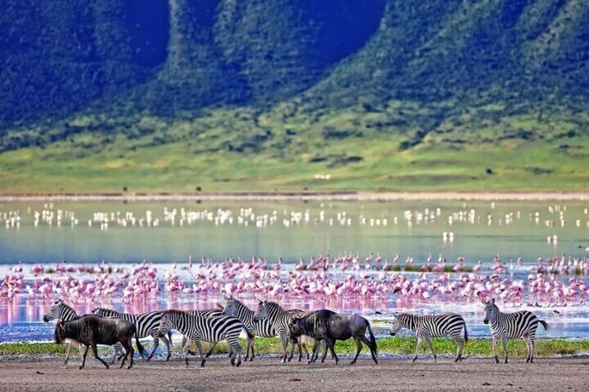 4 Days Tarangire, Serengeti and Ngorongoro Crater Mid Range Tour