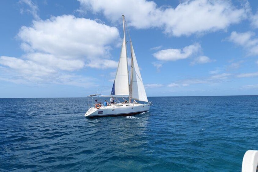 Full day Sailing yacht - Beautiful day on the Atlantic Ocean 
