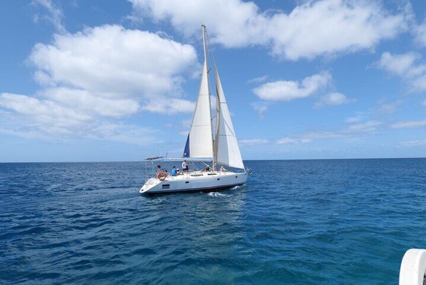 Full day Sailing yacht - Beautiful day on the Atlantic Ocean