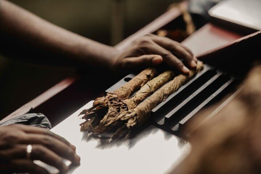 Make your Own Cigar in Puerto Plata