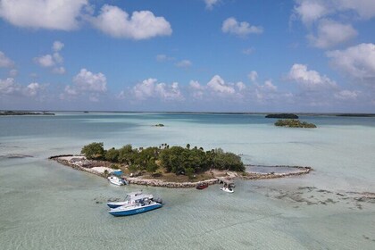 Private Island Experience for a Day with Options