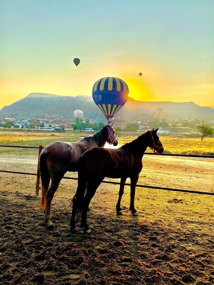 Picture 4 for Activity Cappadocia's Sunrise Horseback Riding