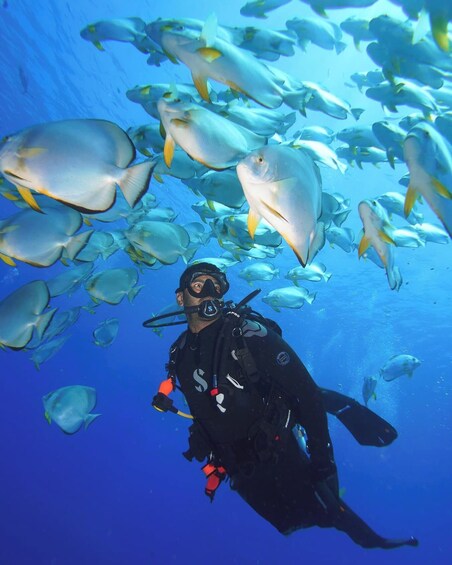 Picture 4 for Activity Kusadasi Scuba Diving