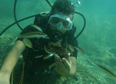 Buceo en Kusadasi