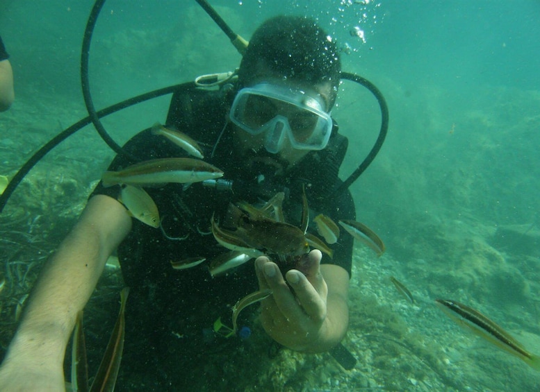 Kusadasi Scuba Diving