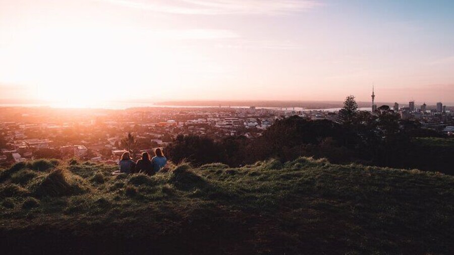 South of the City Half Day Auckland Tour with Luxury Transport