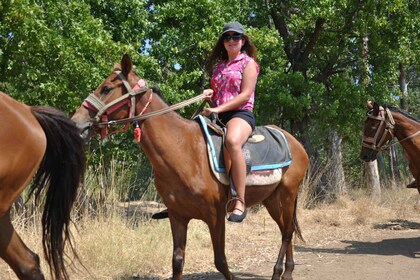 De Bodrum / Gümbet : Expereince d’équitation guidée