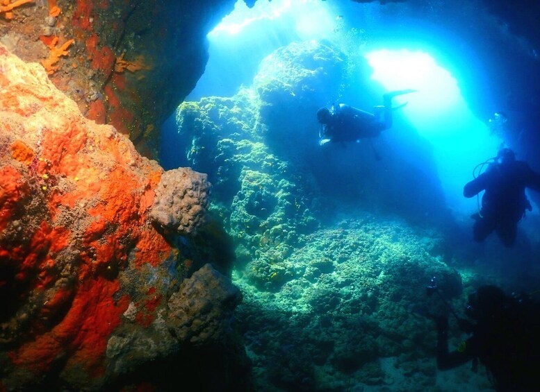 Picture 12 for Activity Cesme: Scuba Diving Experience